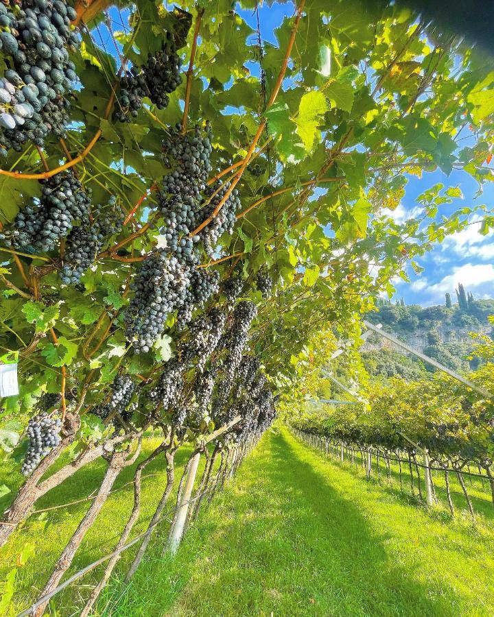 Appartamento Lucia Torbole Sul Garda Exterior photo